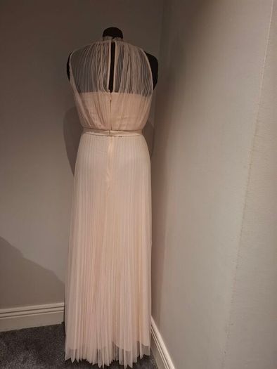 Coast Blush Gown Size 12
