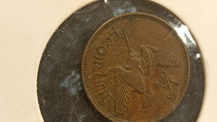 set of Irish farthings