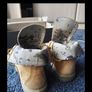Timberland Image 2