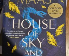 House of Sky and Breath by Sarah J. Maas