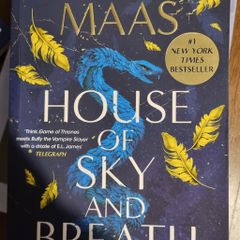 House of Sky and Breath by Sarah J. Maas