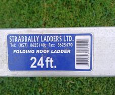 Folding Ladder