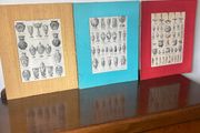 Prints - Mounted - Vintage