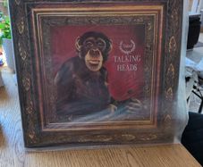 vinyl