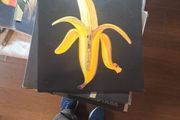 vinyl The Dandy Warhols