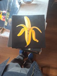 vinyl The Dandy Warhols