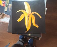 vinyl The Dandy Warhols