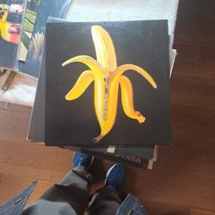 vinyl The Dandy Warhols