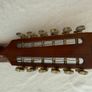 Daion 12-String Acoustic Guitar Image 4