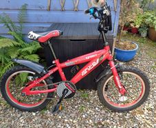 Kids Bike (Ignite Team Spirit)