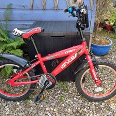 Kids Bike (Ignite Team Spirit)