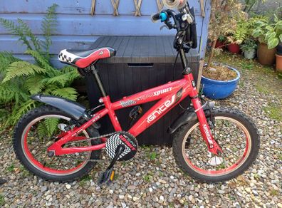 Kids Bike (Ignite Team Spirit)
