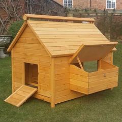 Large Chicken Coop 9 to 12 Birds