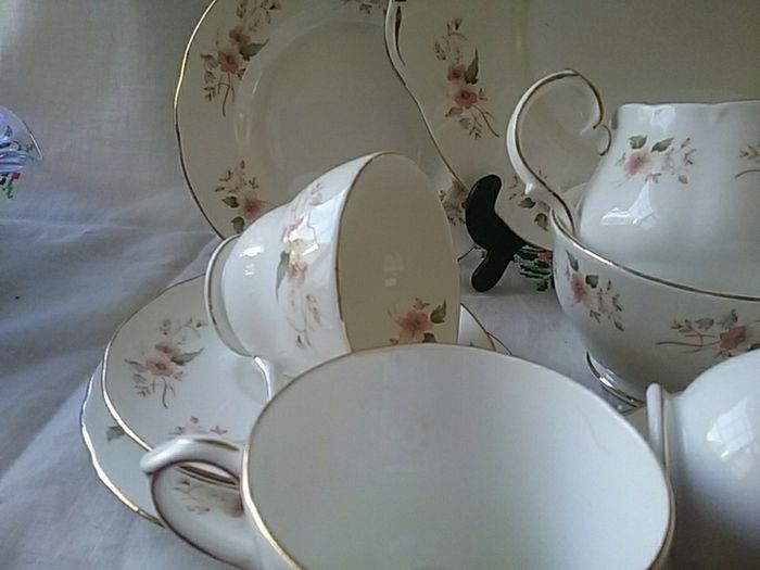 Duchess Glen 316 China Teaset