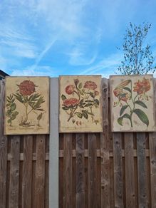 Beautiful Set of 3 Vintage Botanical Canvas Prints by Wild Apple Portfolio