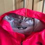 Kids North face jacket Image 3