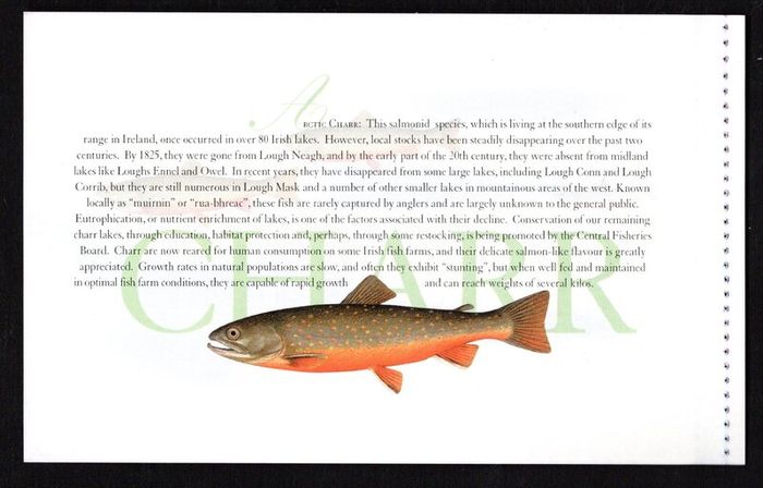 2001 Ireland Freshwater Fish Commemorative Stamp Booklet Mint Never Hinged (MNH). Photos of contents shown.