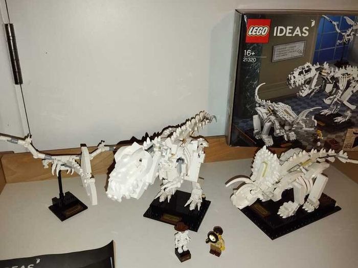 LEGO Ideas Dinosaur Fossils