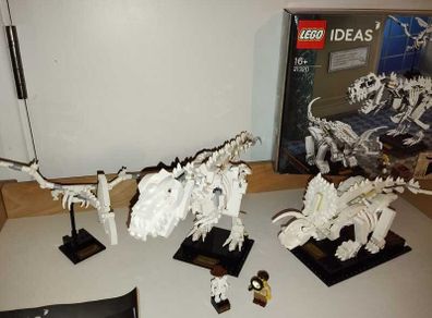 LEGO Ideas Dinosaur Fossils