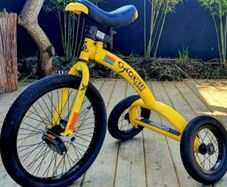 kids fun 3 wheeler