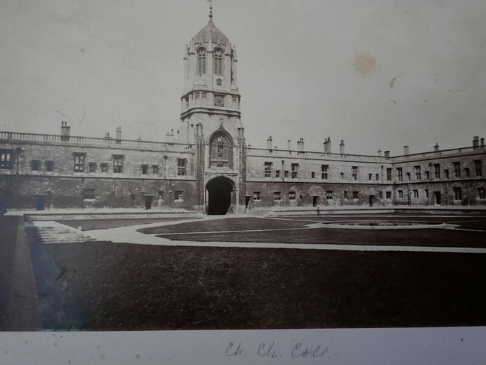 Victorian Photograph Album Photo Card Album  Antique Cabinet Card Photographs Photos 21 Page 42 Photos