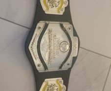 WWE Light heavyweight championship