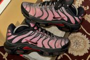 Nike Air Max Tn Plus Bred Reflective DZ4507-600