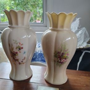 Irish Parian/Donegal China