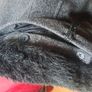 Grey wool coat Image 4