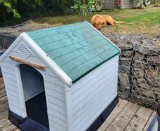 Dog kennel