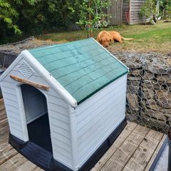 Dog kennel