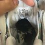 Nike Air Trainer Huarache Corteiz Light Bone FQ8793-002 Image 7