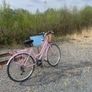 Bike Image 2