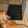 Large metal foldable black dog cage Image 4