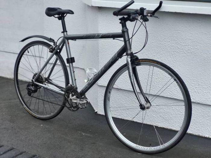 Carerra Gryphion Light Used Hybrid