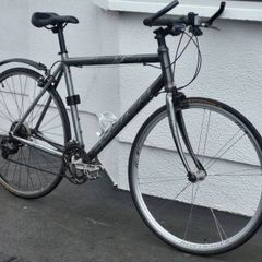 Carerra Gryphion Light Used Hybrid