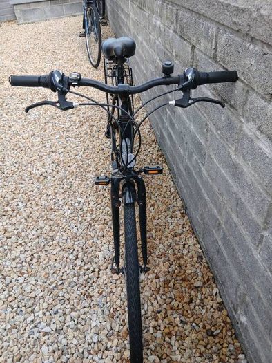 Adults Bike