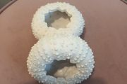 2 x Sea themed T light candle holders from Carraig Donn