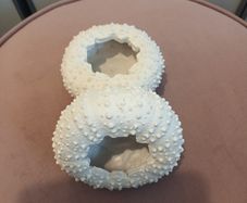 2 x Sea themed T light candle holders from Carraig Donn