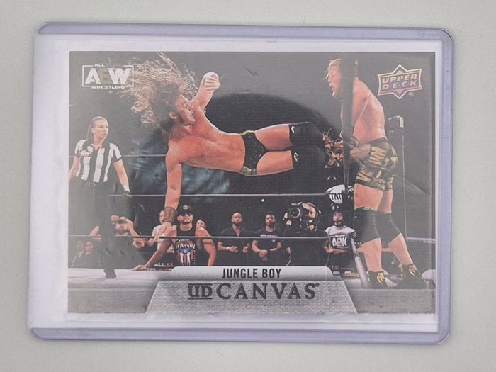 AEW Upper Deck 2021 UD CANVAS Wrestking Trading Card Bundle