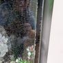 250L cube fishtank (read description) Image 5