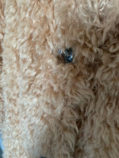 Beige Teddy Coat