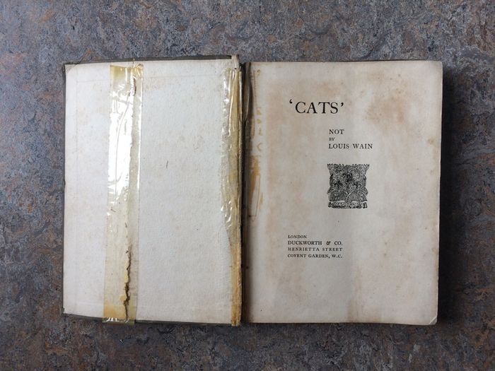 ' Cats ' Not