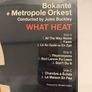 Bokante and Metropole Orkest. Vinyl Album. Mint. Image 10