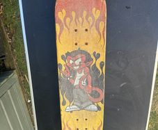 skateboard