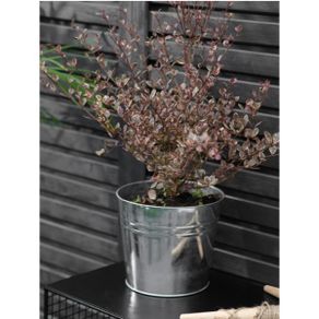 Winson Plant Pot 20.5cm Galvanised Steel GT34