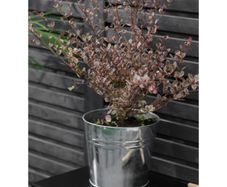 Winson Plant Pot 20.5cm Galvanised Steel GT34
