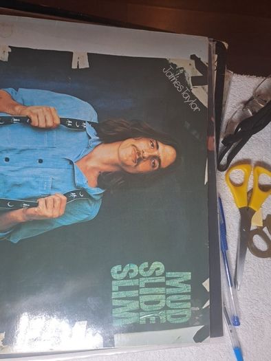 Vinyl.James Taylor.