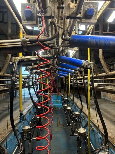 Milking parlor
