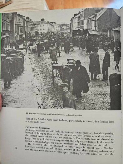 Ireland.  Past Into Present. By Padraig Lane. First Edition Large Volume Hardback With Dustjacket In Good Condition.  See Photos For Same.